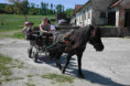 /album/farma-vsemi-smysly/r0002651-jpg/