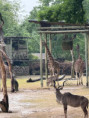 /album/mame-radi-zvirata-exkurze-do-zoo-zlin-lesna/1766d575-2c65-400f-a528-b6a4b9a3896f-jpg/