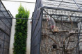 /album/projektovy-den-sd-v-podzamecke-zahrade-v-kromerizi/dscf8946-jpg/