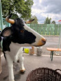 /album/navsteva-ovocentra-ve-valasskem-mezirici/img-20260611-wa0017-jpg/