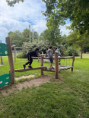 /album/zabavne-sportovni-dopoledne-na-hristi/img-20260618-wa0033-jpg/