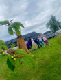 /album/bajny-vrchol-solan-gigula-podruhe/20260618-091755270-ios-jpg/