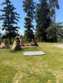 /album/vylet-na-vartovnu1/img-20260619-wa0018-jpg/