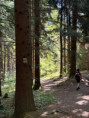 /album/vylet-na-vartovnu1/img-20260619-wa0061-jpg/