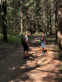 /album/vylet-na-vartovnu1/img-20260619-wa0064-jpg/