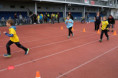 /album/17-olympiada-specialnich-skol-v-uherskem-hradisti/dscf9796-jpg/