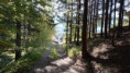 /album/lesem-nelesem/5-jpeg2/