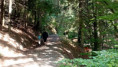 /album/lesem-nelesem/13-jpeg2/