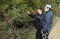 /album/od-sipku-k-sirupu/dscf0287-jpg/