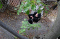 /album/od-sipku-k-sirupu/dscf0336-jpg/