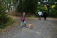 /album/od-sipku-k-sirupu/dscf0382-jpg/