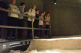 /album/cesta-do-praveku-v-archeoparku-pavlov/r0002784-jpg/